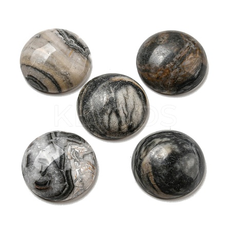 Natural Crazy Agate Cabochons G-C115-02A-42-1