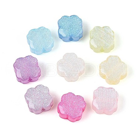 Transparent Resin Beads RESI-N048-09-1