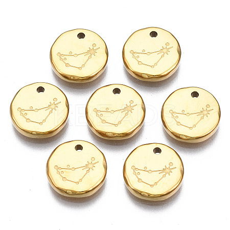 316 Surgical Stainless Steel Charms LS-STAS-S116-418C-G-1