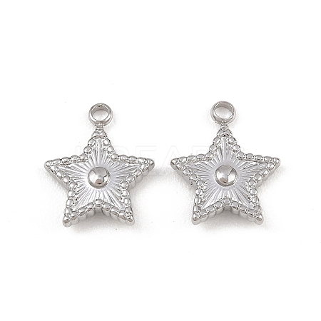 304 Stainless Steel Pendants STAS-I363-14P-1