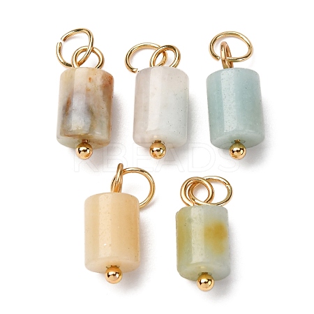 Natural Flower Amazonite Column Charms with 304 Stainless Steel Jump Rings G-Q032-01G-1