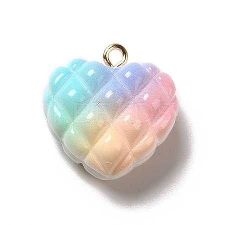 Rainbow Color Opaque Resin Waffle Beads Pendants LS-RESI-F035-01-1