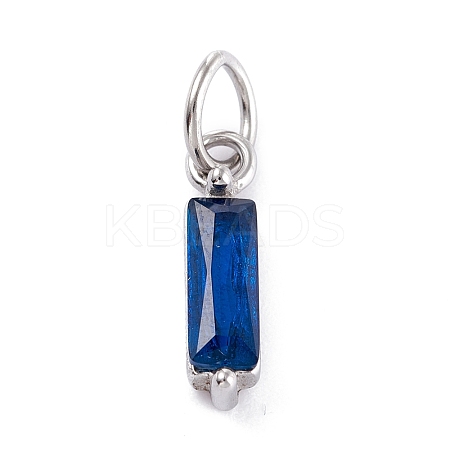 304 Stainless Steel Cubic Zirconia Pendants STAS-E487-21P-08-1
