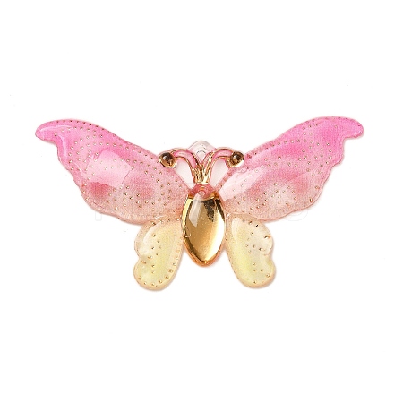 Gradient Color Resin Pendants RESI-Q012-03J-1