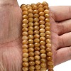 Natural Topaz Jade Beads Strands G-Z111-A06-03-2