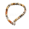 Natural Crazy Lace Agate Round Bead Strands G-M272-03-4mm-5