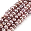 Natural Cultured Freshwater Pearl Beads Strands PEAR-C003-10E-2