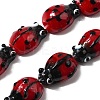 Handmade Lampwork Beads Strands X1-LAMP-TD001-3-3