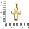 304 Stainless Steel Crystal Rhinestone Pendants STAS-F336-15G-01-3
