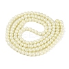 Baking Paint Glass Pearl Beads Strands LS-DGLA-ZX001-05B-04-2