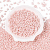 Opaque Colours Luster Glass Seed Beads SEED-T006-02G-1
