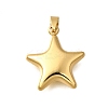 304 Stainless Steel Pendants LS-BJEW-H200-09G-02-1
