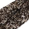 Natural Smoky Quartz Beads Strands G-I389-A31-01B-2