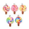 Spray Painted Opaque Resin Pendants RESI-F061-08-1