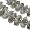 Natural Labradorite Double Terminated Point Beads Strands G-H069-B04-01-4