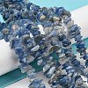 Natural Kyanite Chip Beads Strands G-G905-14-2