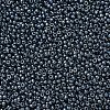 MIYUKI Round Rocailles Beads X-SEED-G007-RR0451-3