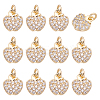 12Pcs Brass Micro Pave Clear Cubic Zirconia Charms KK-BC0015-03-1