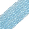 Baking Paint Glass Beads Strands DGLA-Q023-8mm-DB46-2