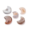 Natural Agate Geode Cabochons LS-G-G850-01-1