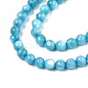 Natural Freshwater Shell Beads Strands SHEL-N003-24-B02-3