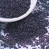 MIYUKI Round Rocailles Beads SEED-G007-RR0171-1