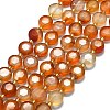 Natural Carnelian Beads Strands G-C116-A90-01-2