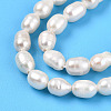 Natural Cultured Freshwater Pearl Beads Strands PEAR-N012-04U-4