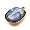 304 Stainless Steel Pave Natural Paua Shell Pendants STAS-Z125-01B-G-2