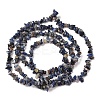 Natural Sodalite Chips Beads Strands F024-8