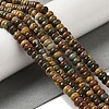 Natural Picasso Jasper Beads Strands G-Q161-B01-01-2