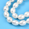 Natural Cultured Freshwater Pearl Beads Strands PEAR-N012-07X-01-3