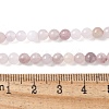 Natural Violet Strawberry Quartz Beads Strands G-P530-B02-01-5
