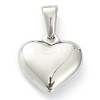 304 Stainless Steel Pendants X-STAS-P278-01F-P-2