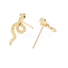 Green Cubic Zirconia Snake Stud Earrings X-EJEW-F282-25G-4