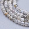 Natural Labradorite Beads Strands G-R475-025A-3