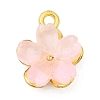 Alloy Glass Charms FIND-C079-05G-01-1