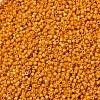 MIYUKI Delica Beads X-SEED-J020-DB2104-3