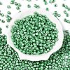 Baking Paint Pearlized Glass Seed Beads SEED-T008-03R-2