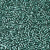 FGB 11/0 Grade A Glass Seed Beads SEED-S030-1209-2