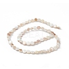 AB Color Plated Natural Freshwater Shell Beads Strands BSHE-G033-04-2