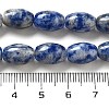 Natural Blue Spot Jasper Beads Strands G-B106-B29-01-5