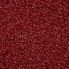 MIYUKI Round Rocailles Beads X-SEED-G007-RR0141-3