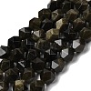 Natural Golden Sheen Obsidian Beads Strands G-Z119-A10-03-3
