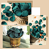 200Pcs Artificial Rose Petals FIND-SP0004-56E-6