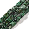 Dyed Natural African Turquoise(Jasper) Beads Strands G-G085-A06-01-1