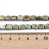 Natural Variscite Beads Strands G-N346-04A-11-5
