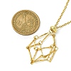 Crystal Cage Holder Necklace NJEW-JN04606-01-4