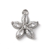 Brass Micro Pave Cubic Zirconia Charms LS-KK-D371-04F-P-1