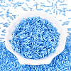 Glass Bugle Beads X-SEED-N007-28E-2